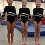 Three Gymnasts Standing in Leotards